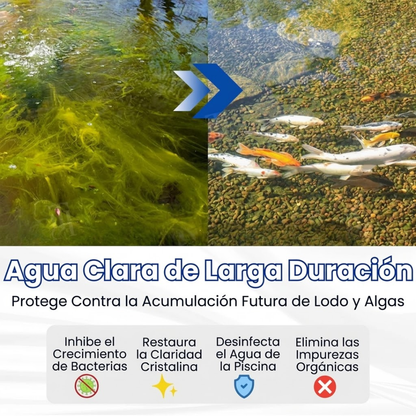 ✨ De verde a limpio durante la noche! |⏱️ cristalclaro en 24 horas! | AEXZR® Aqua-Guardian Fórmula Pro