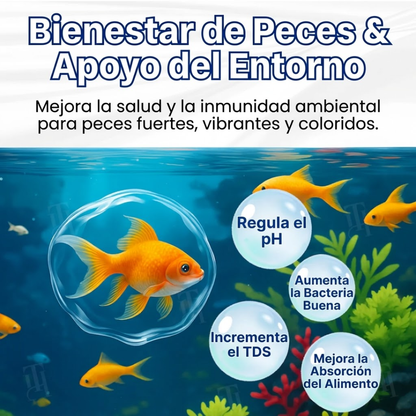 ✨ De verde a limpio durante la noche! |⏱️ cristalclaro en 24 horas! | AEXZR® Aqua-Guardian Fórmula Pro
