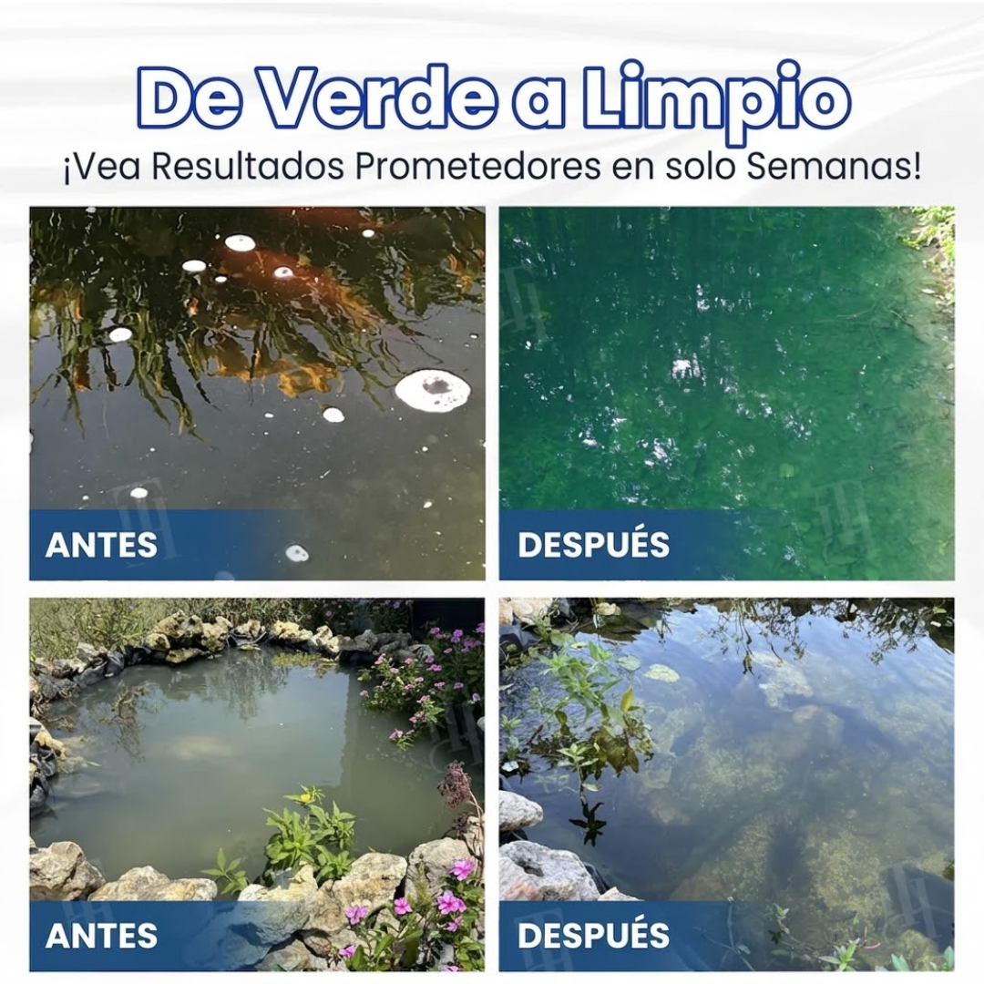 ✨ De verde a limpio durante la noche! |⏱️ cristalclaro en 24 horas! | AEXZR® Aqua-Guardian Fórmula Pro