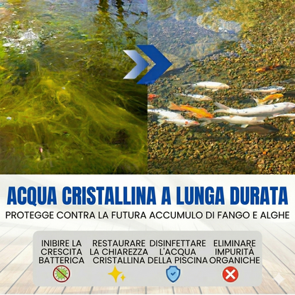 ✨ Da Verde a Trasparente in una Notte! ⏱️ Limpidezza Cristallina in 24 Ore! AEXZR® Aqua-Guardian Pro Formula