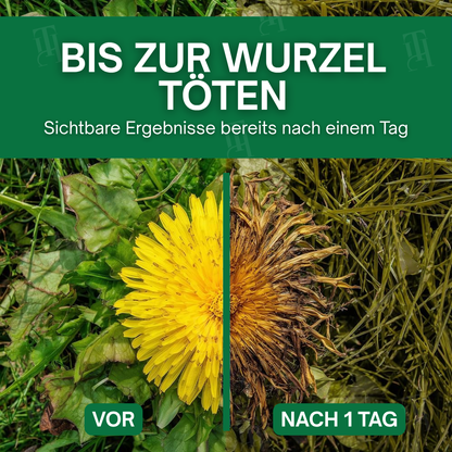 AEXZR® 3-in-1 Herbizid | Sichtbare Ergebnisse in 24 Std. | 100% sicher für Kinder & Haustiere | Max Power Unkraut- & Wurzelvernichter 🚫🌿
