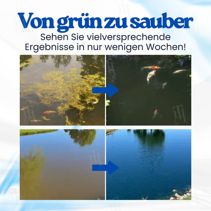 ⏱️ Kristallklar in 24 Stunden! | 🌿 100% Sicher für Fische & Pflanzen | AEXZR® Aqua-Guardian Pro Formel (Copy)