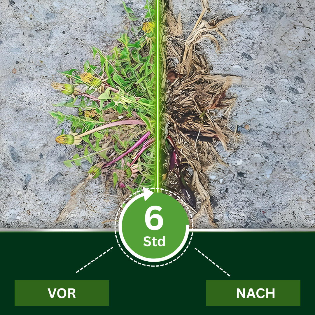 AEXZR® 2-in-1 Vita-Enzym-Lösung – Beleben Sie sterbende Pflanzen wieder & fördern Sie das Wachstum | Professionelle 2-in-1-Formel 🏆🌱