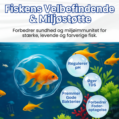 ✨ Fra grønt til rent natten over! | ⏱️ Krystalklart på 24 timer! | AEXZR® Aqua-Guardian Pro Formel