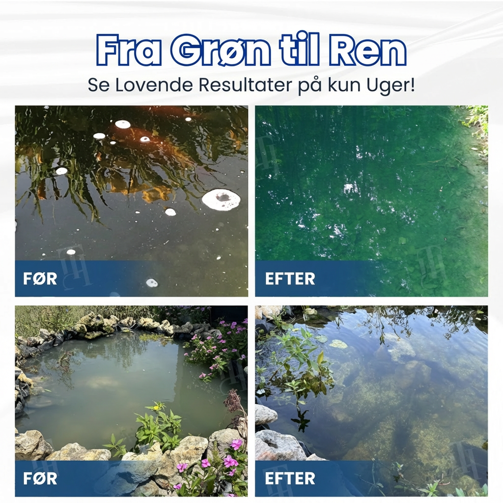✨ Fra grønt til rent natten over! | ⏱️ Krystalklart på 24 timer! | AEXZR® Aqua-Guardian Pro Formel