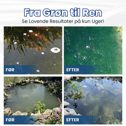 ✨ Fra grønt til rent natten over! | ⏱️ Krystalklart på 24 timer! | AEXZR® Aqua-Guardian Pro Formel