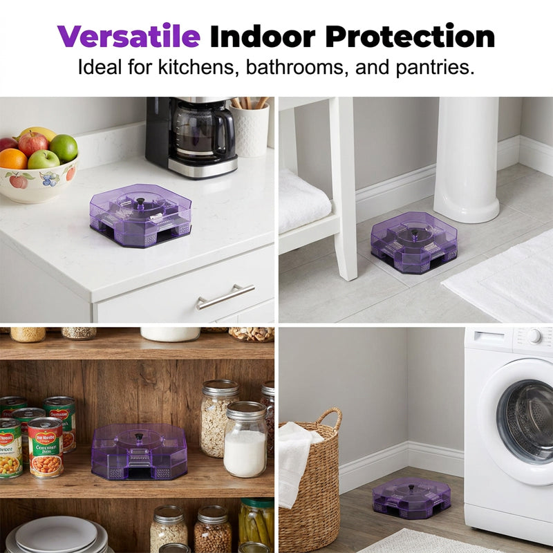 Limited Stock!!! AEXZR® Reusable Effective Roach Trap