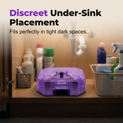 AEXZR® Reusable Effective Roach Trap